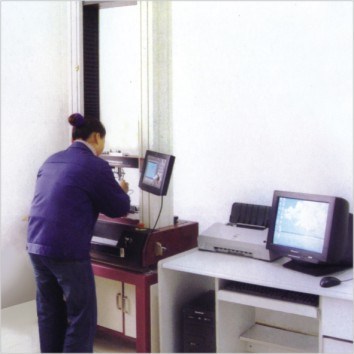 Trumony Aluminum Limited 製造者の生産ライン